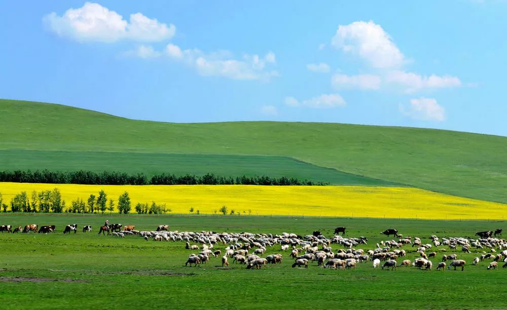 内蒙古，草原上的诗意人生之旅
