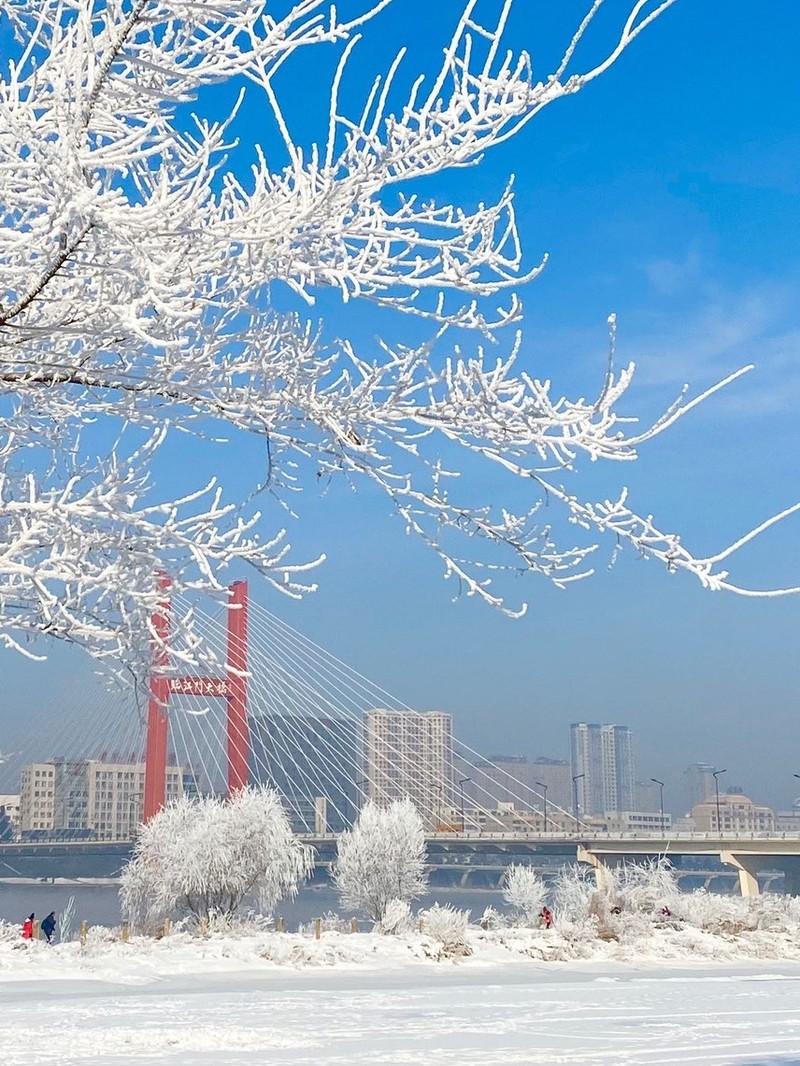 吉林火车站前广场，见证历史与未来的交汇之地