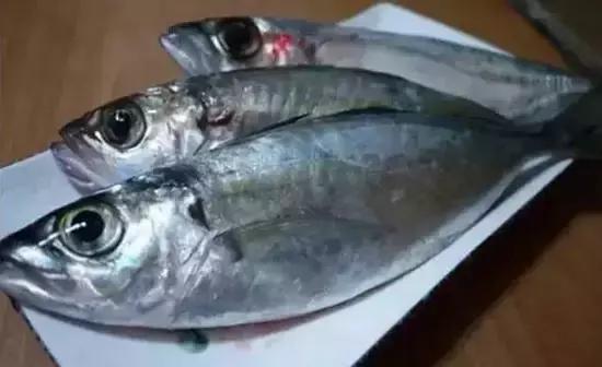 海南,热带风情与独特魅力的评论